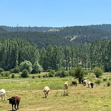 Apartament Esqui O Naturaleza En Verano Por La Virgen De La Vega Valdelinares *
