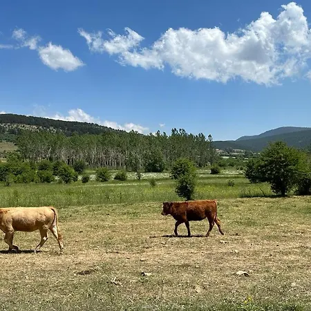 Apartament Esqui O Naturaleza En Verano Por La Virgen De La Vega Valdelinares